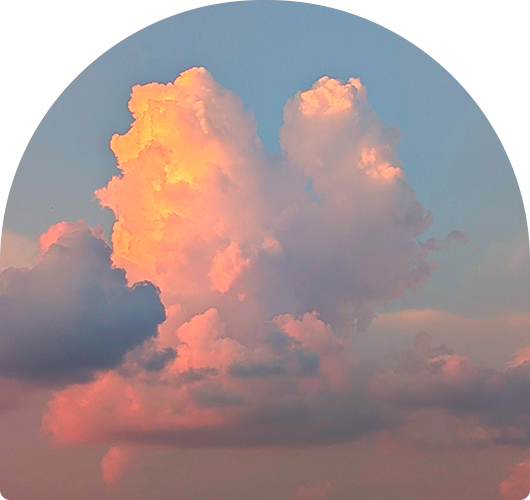 宝城メディカルサポートについて